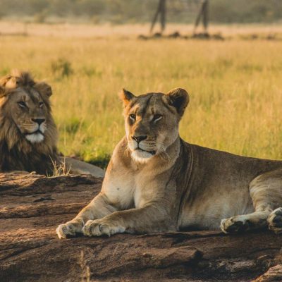 Serengeti National Park