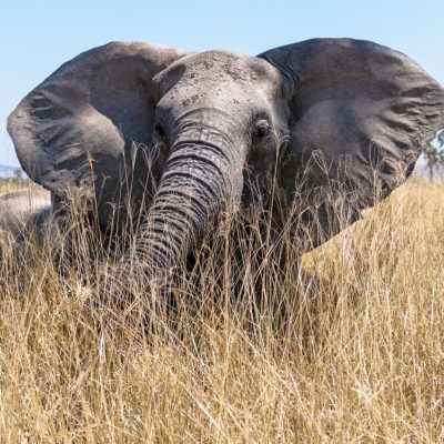 Tarangire National Park