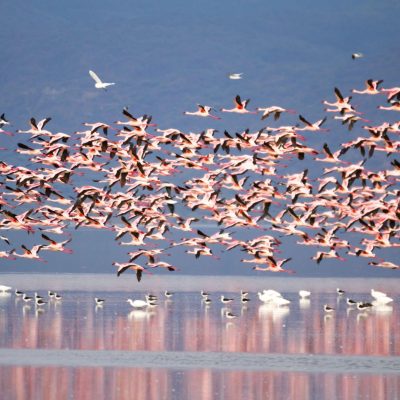 Lake Manyara